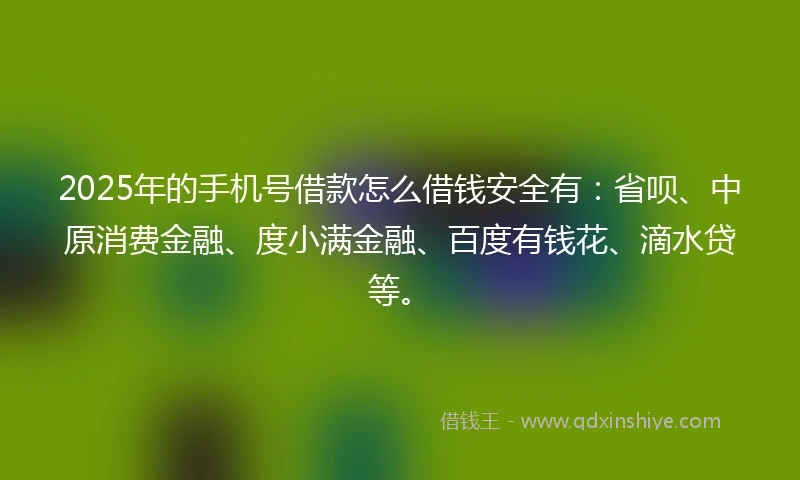 2025年的手机号借款怎么借钱安全有：省呗、中原消费金融、度小满金融、百度有钱花、滴水贷等。
