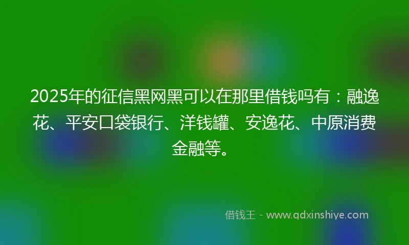 2025年的征信黑网黑可以在那里借钱吗有：融逸花、平安口袋银行、洋钱罐、安逸花、中原消费金融等。