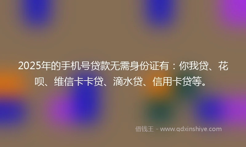 2025年的手机号贷款无需身份证有：你我贷、花呗、维信卡卡贷、滴水贷、信用卡贷等。