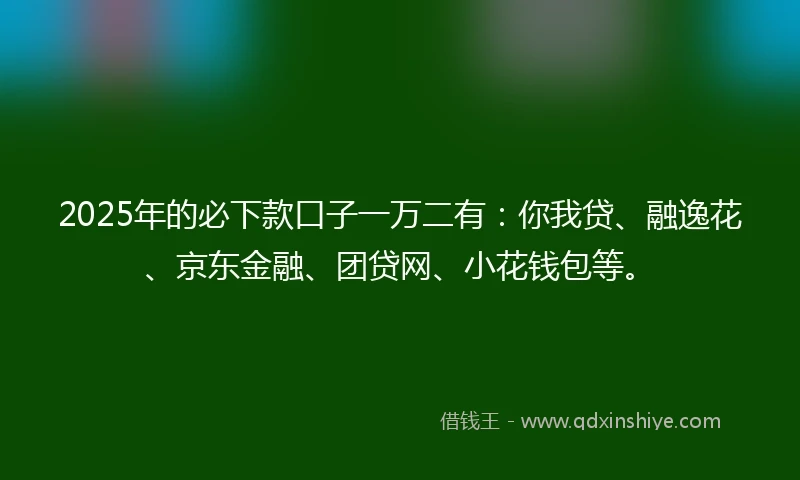 2025年的必下款口子一万二有：你我贷、融逸花、京东金融、团贷网、小花钱包等。