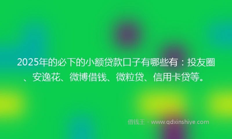 2025年的必下的小额贷款口子有哪些有：投友圈、安逸花、微博借钱、微粒贷、信用卡贷等。