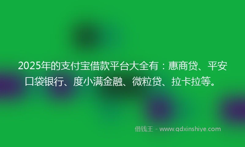 2025年的支付宝借款平台大全有：惠商贷、平安口袋银行、度小满金融、微粒贷、拉卡拉等。
