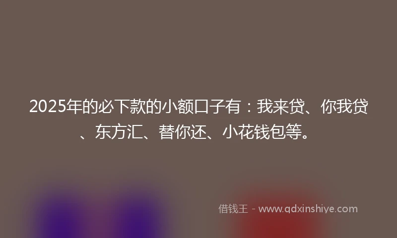 2025年的必下款的小额口子有：我来贷、你我贷、东方汇、替你还、小花钱包等。