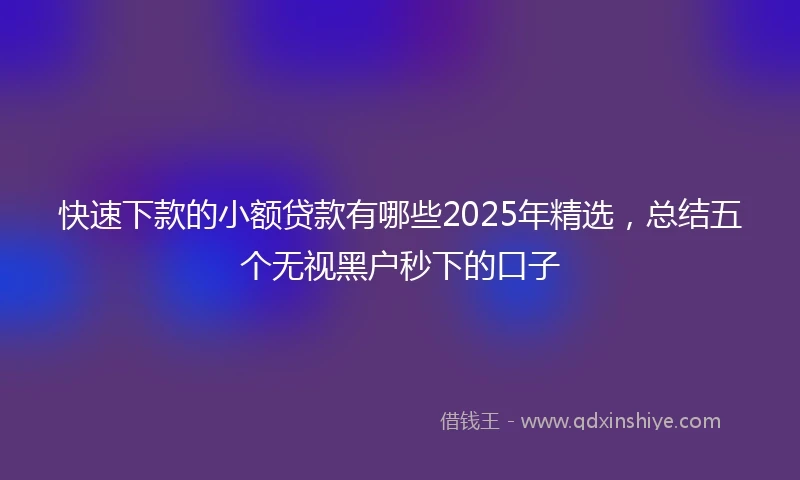快速下款的小额贷款有哪些2025年精选，总结五个无视黑户秒下的口子