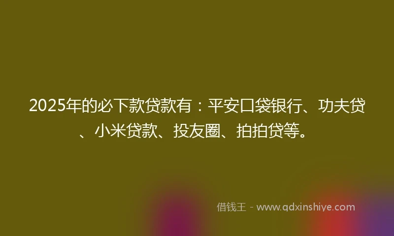2025年的必下款贷款有：平安口袋银行、功夫贷、小米贷款、投友圈、拍拍贷等。