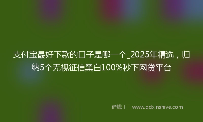 支付宝最好下款的口子是哪一个_2025年精选，归纳5个无视征信黑白100%秒下网贷平台