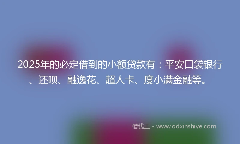 2025年的必定借到的小额贷款有：平安口袋银行、还呗、融逸花、超人卡、度小满金融等。