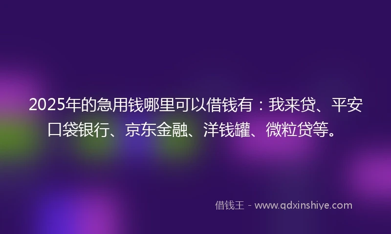 2025年的急用钱哪里可以借钱有：我来贷、平安口袋银行、京东金融、洋钱罐、微粒贷等。