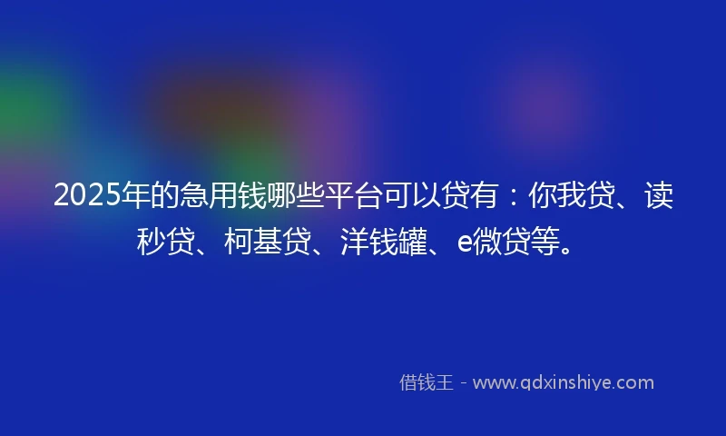 2025年的急用钱哪些平台可以贷有：你我贷、读秒贷、柯基贷、洋钱罐、e微贷等。