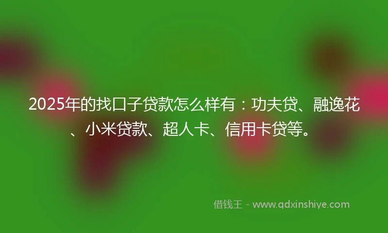 2025年的找口子贷款怎么样有：功夫贷、融逸花、小米贷款、超人卡、信用卡贷等。