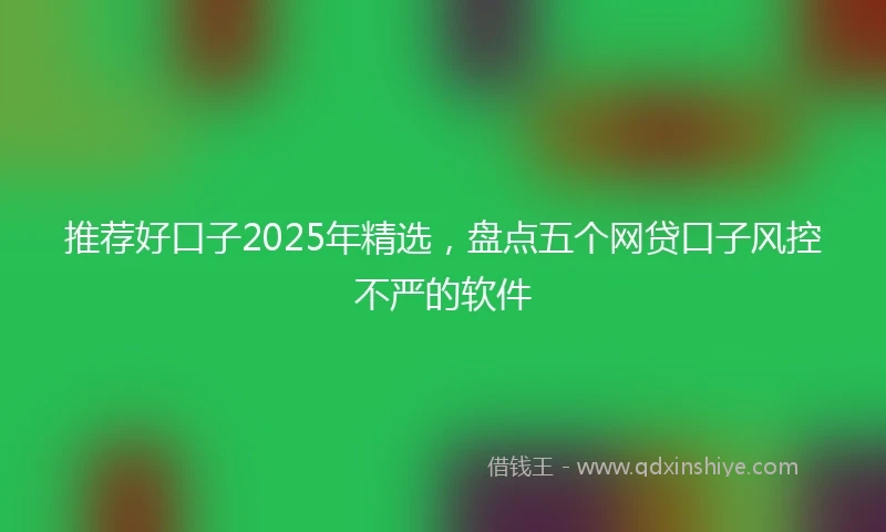 推荐好口子2025年精选，盘点五个网贷口子风控不严的软件