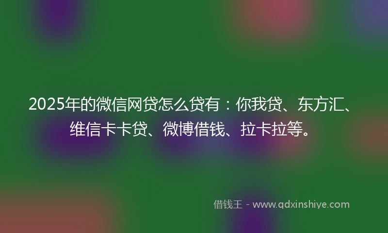 2025年的微信网贷怎么贷有：你我贷、东方汇、维信卡卡贷、微博借钱、拉卡拉等。