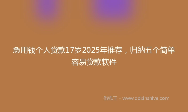 急用钱个人贷款17岁2025年推荐，归纳五个简单容易贷款软件