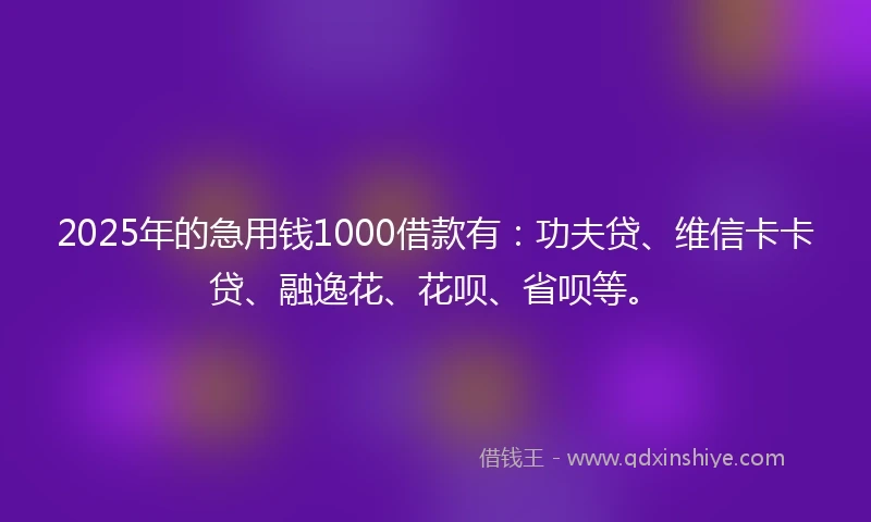 2025年的急用钱1000借款有：功夫贷、维信卡卡贷、融逸花、花呗、省呗等。