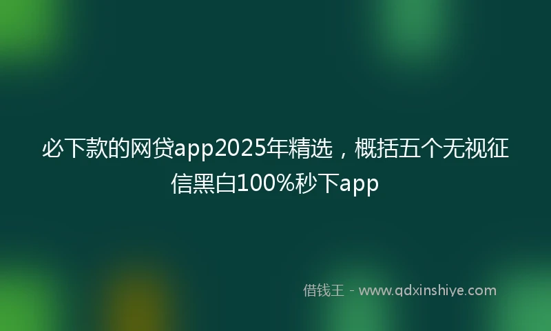必下款的网贷app2025年精选，概括五个无视征信黑白100%秒下app