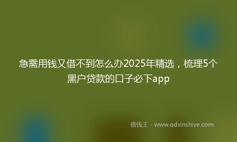 急需用钱又借不到怎么办2025年精选，梳理5个黑户贷款的口子必下app