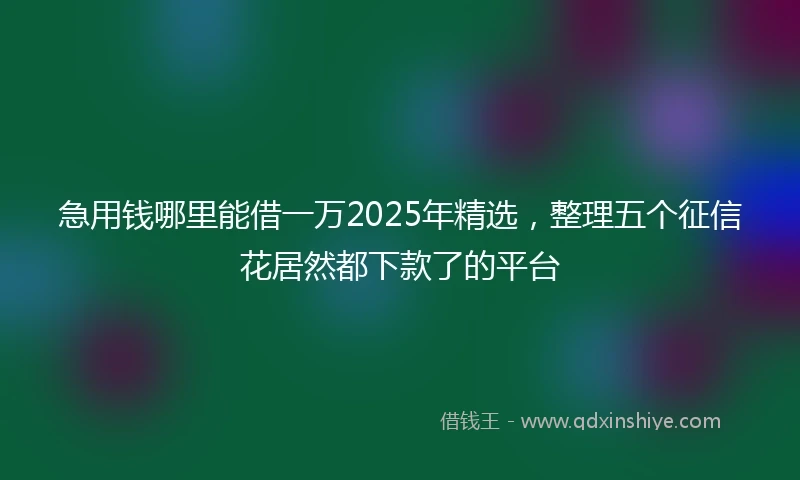 急用钱哪里能借一万2025年精选，整理五个征信花居然都下款了的平台