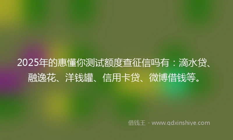 2025年的惠懂你测试额度查征信吗有:滴水贷、融逸花、洋钱罐、信用卡贷、微博借钱等。