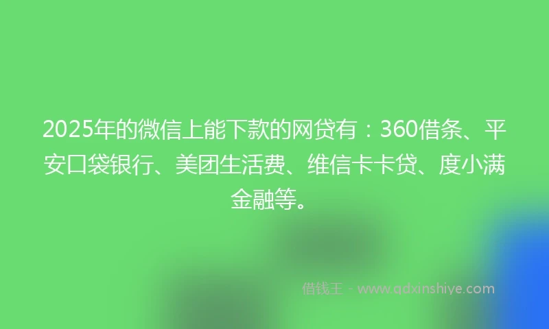 2025年的微信上能下款的网贷有：360借条、平安口袋银行、美团生活费、维信卡卡贷、度小满金融等。