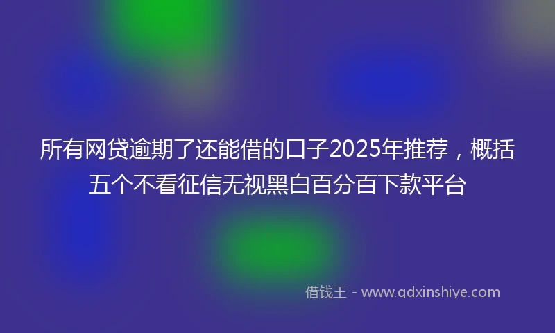 所有网贷逾期了还能借的口子2025年推荐，概括五个不看征信无视黑白百分百下款平台