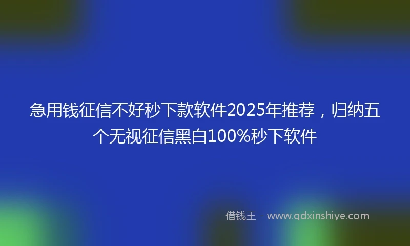 急用钱征信不好秒下款软件2025年推荐，归纳五个无视征信黑白100%秒下软件