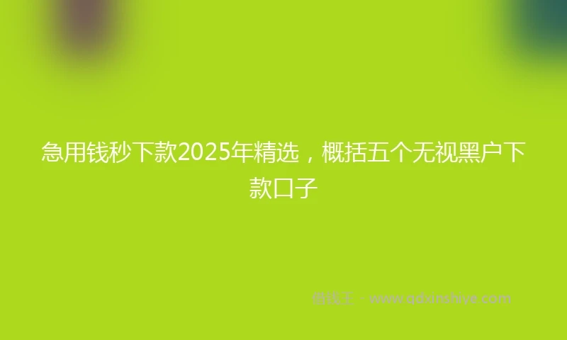 急用钱秒下款2025年精选，概括五个无视黑户下款口子