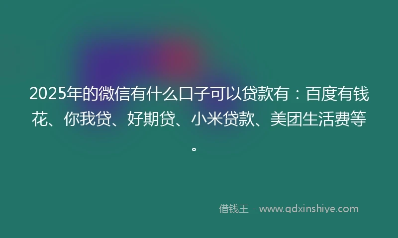 2025年的微信有什么口子可以贷款有：百度有钱花、你我贷、好期贷、小米贷款、美团生活费等。