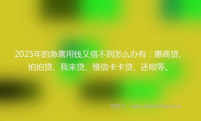 2025年的急需用钱又借不到怎么办有：惠商贷、拍拍贷、我来贷、维信卡卡贷、还呗等。