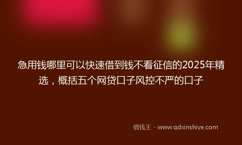 急用钱哪里可以快速借到钱不看征信的2025年精选，概括五个网贷口子风控不严的口子
