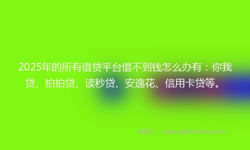 2025年的所有借贷平台借不到钱怎么办有:你我贷、拍拍贷、读秒贷、安逸花、信用卡贷等。