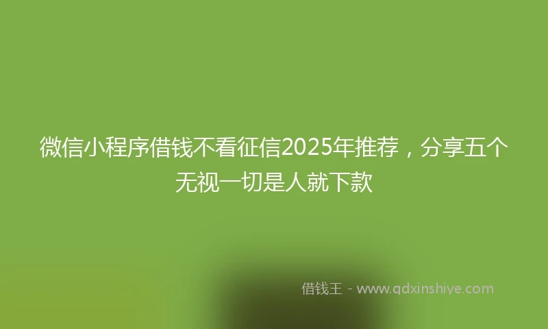 微信小程序借钱不看征信2025年推荐，分享五个无视一切是人就下款