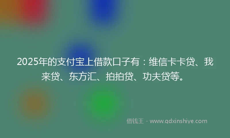 2025年的支付宝上借款口子有：维信卡卡贷、我来贷、东方汇、拍拍贷、功夫贷等。