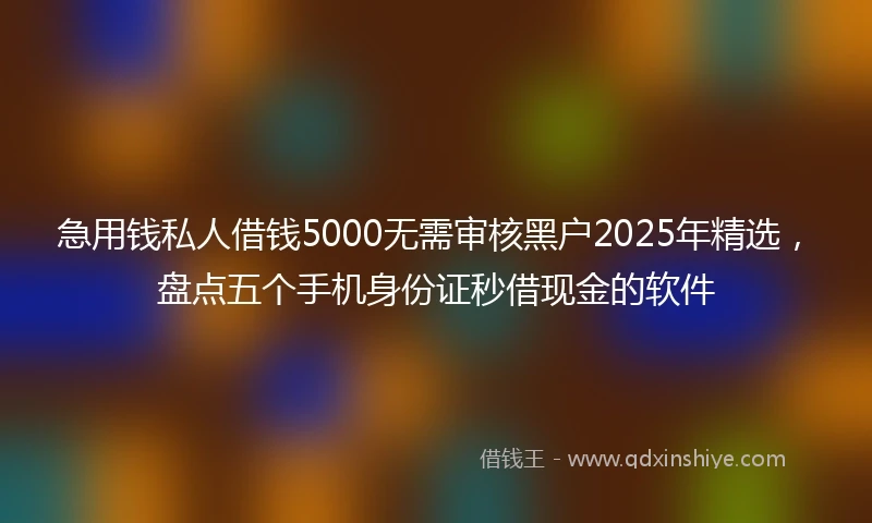 急用钱私人借钱5000无需审核黑户2025年精选，盘点五个手机身份证秒借现金的软件