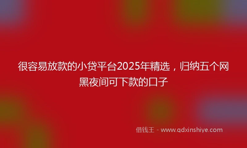 很容易放款的小贷平台2025年精选，归纳五个网黑夜间可下款的口子