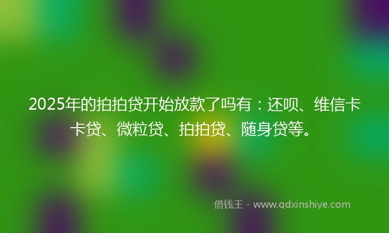 2025年的拍拍贷开始放款了吗有：还呗、维信卡卡贷、微粒贷、拍拍贷、随身贷等。