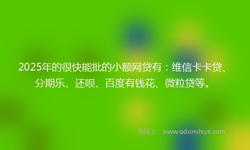 2025年的很快能批的小额网贷有：维信卡卡贷、分期乐、还呗、百度有钱花、微粒贷等。