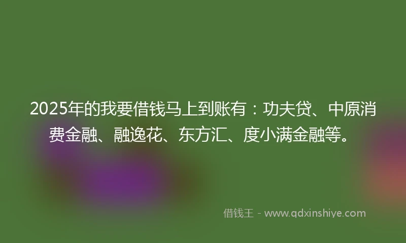 2025年的我要借钱马上到账有：功夫贷、中原消费金融、融逸花、东方汇、度小满金融等。