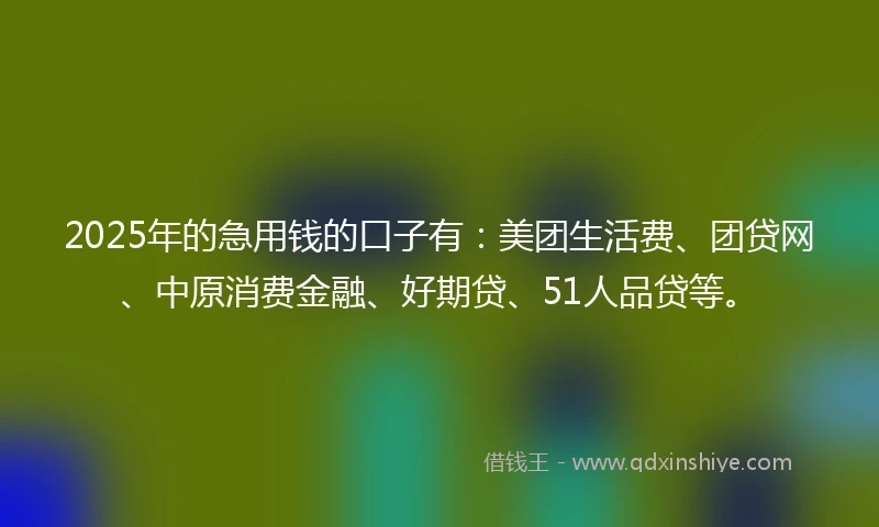2025年的急用钱的口子有:美团生活费、团贷网、中原消费金融、好期贷、51人品贷等。