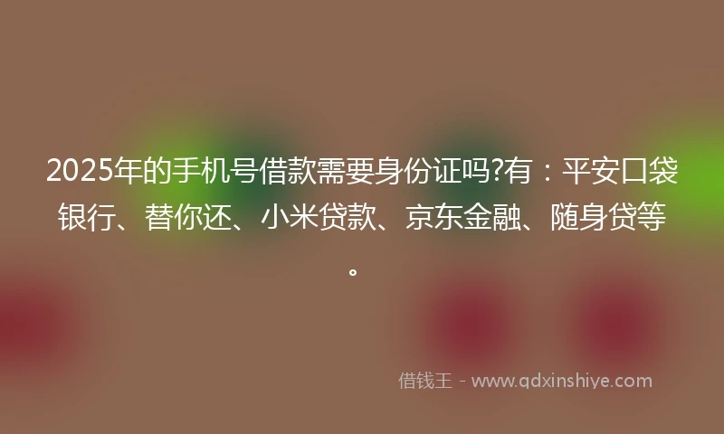 2025年的手机号借款需要身份证吗?有：平安口袋银行、替你还、小米贷款、京东金融、随身贷等。