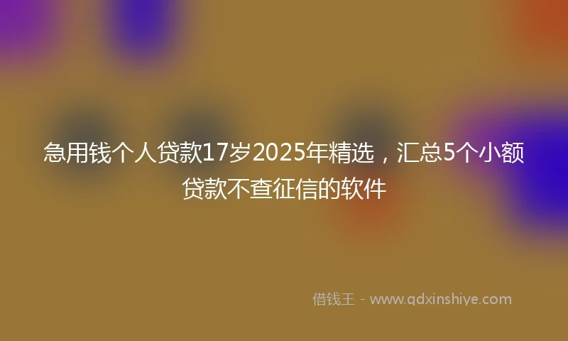 急用钱个人贷款17岁2025年精选，汇总5个小额贷款不查征信的软件