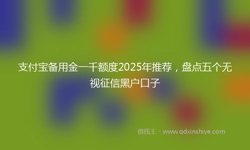 支付宝备用金一千额度2025年推荐，盘点五个无视征信黑户口子