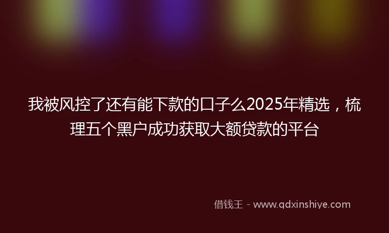 我被风控了还有能下款的口子么2025年精选，梳理五个黑户成功获取大额贷款的平台