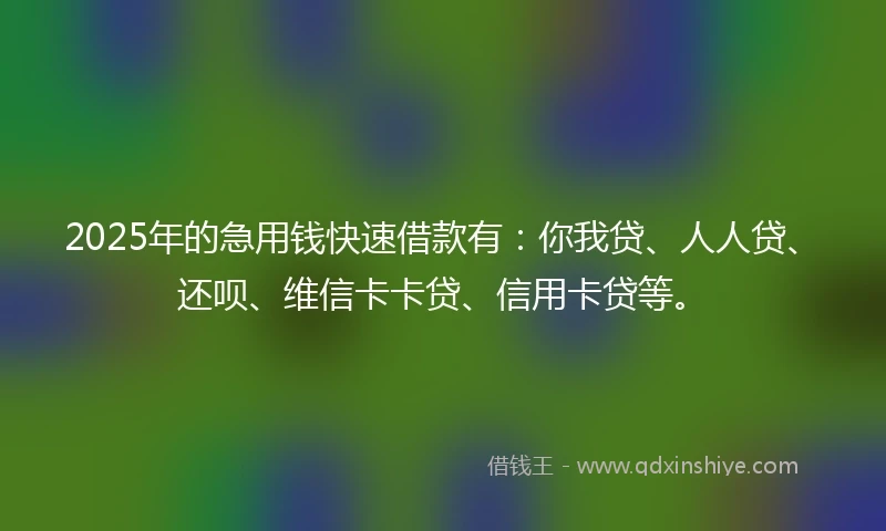 2025年的急用钱快速借款有：你我贷、人人贷、还呗、维信卡卡贷、信用卡贷等。
