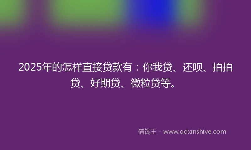 2025年的怎样直接贷款有：你我贷、还呗、拍拍贷、好期贷、微粒贷等。