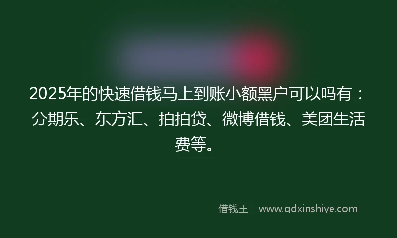 2025年的快速借钱马上到账小额黑户可以吗有：分期乐、东方汇、拍拍贷、微博借钱、美团生活费等。