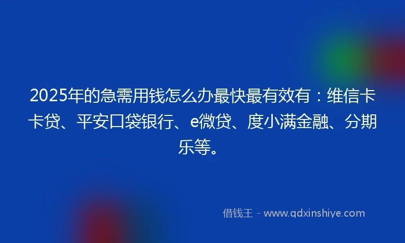 2025年的急需用钱怎么办最快最有效有：维信卡卡贷、平安口袋银行、e微贷、度小满金融、分期乐等。