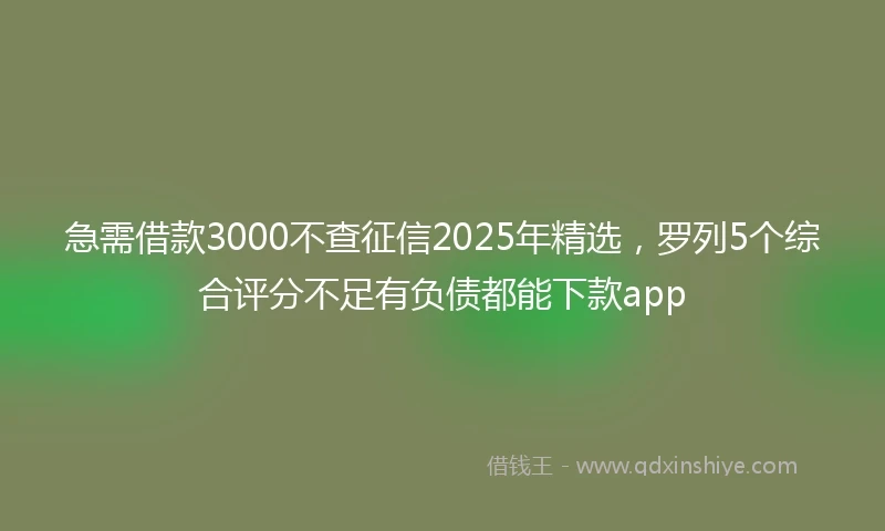 急需借款3000不查征信2025年精选，罗列5个综合评分不足有负债都能下款app