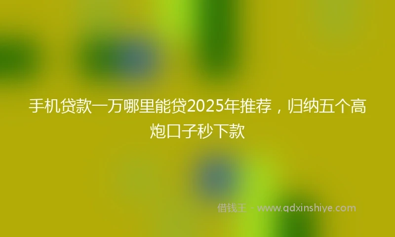 手机贷款一万哪里能贷2025年推荐，归纳五个高炮口子秒下款