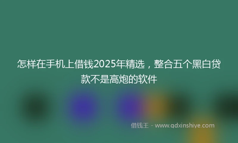 怎样在手机上借钱2025年精选，整合五个黑白贷款不是高炮的软件
