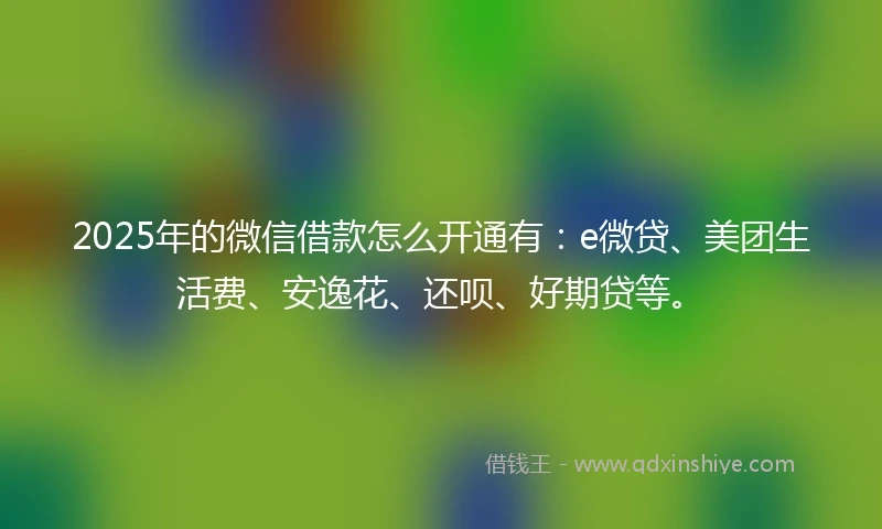2025年的微信借款怎么开通有:e微贷、美团生活费、安逸花、还呗、好期贷等。